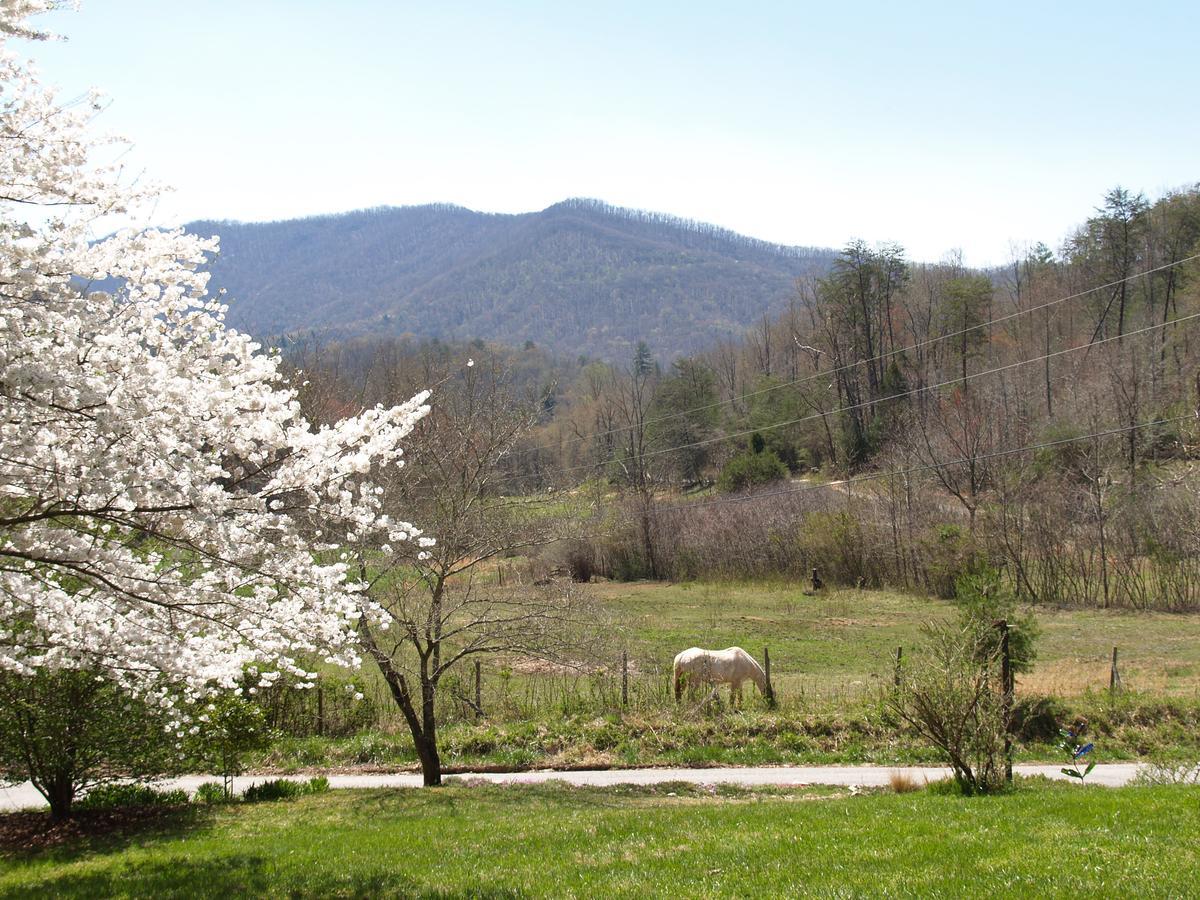 Henson Cove Place Bed And Breakfast W/Cabin Hiawassee Eksteriør billede
