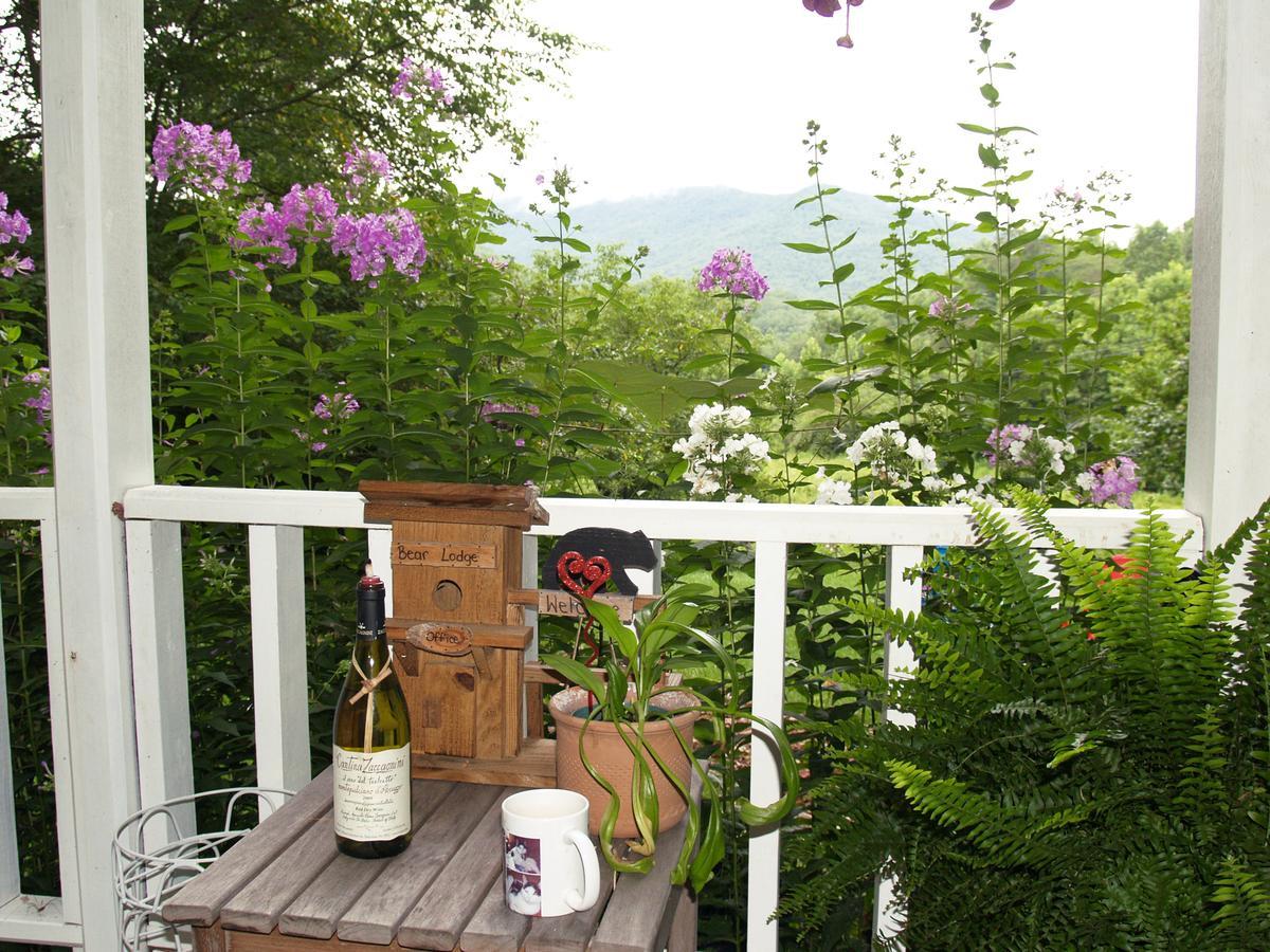 Henson Cove Place Bed And Breakfast W/Cabin Hiawassee Eksteriør billede