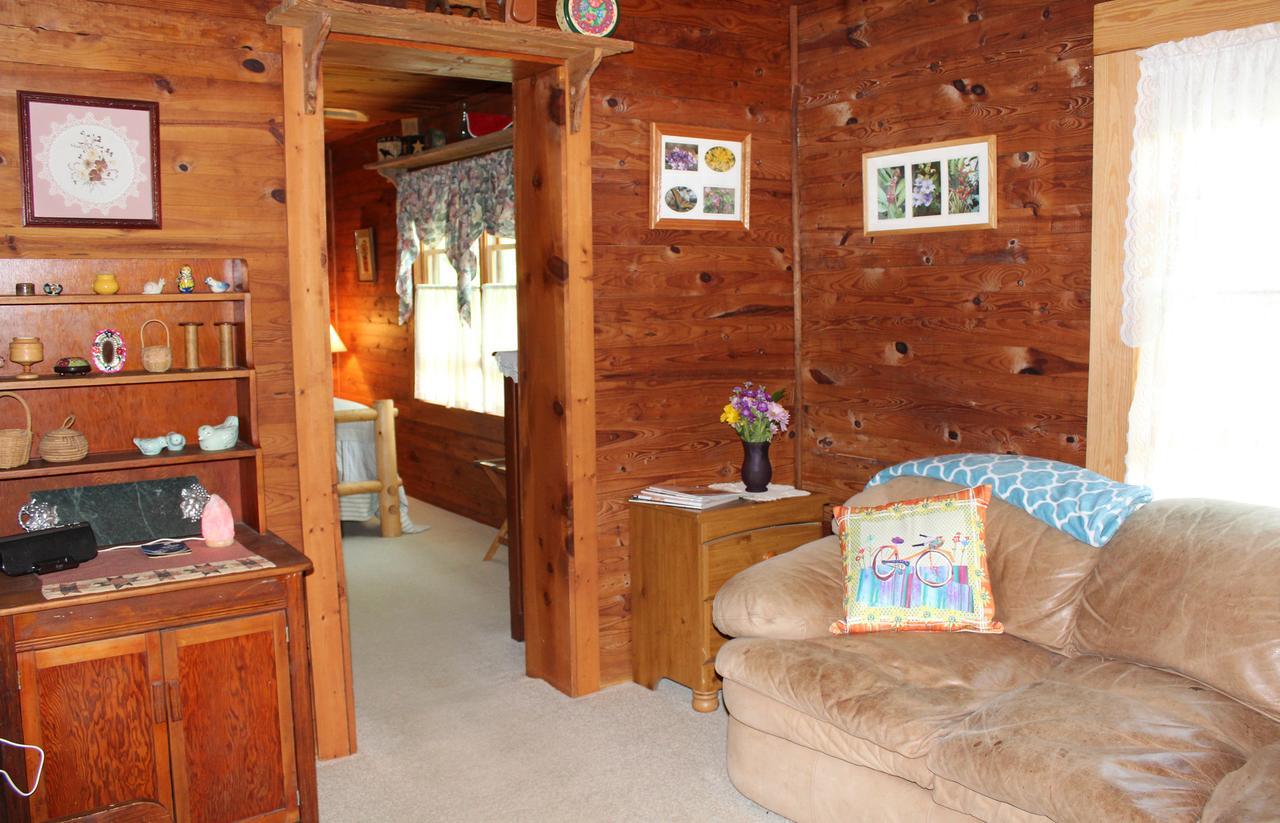 Henson Cove Place Bed And Breakfast W/Cabin Hiawassee Eksteriør billede